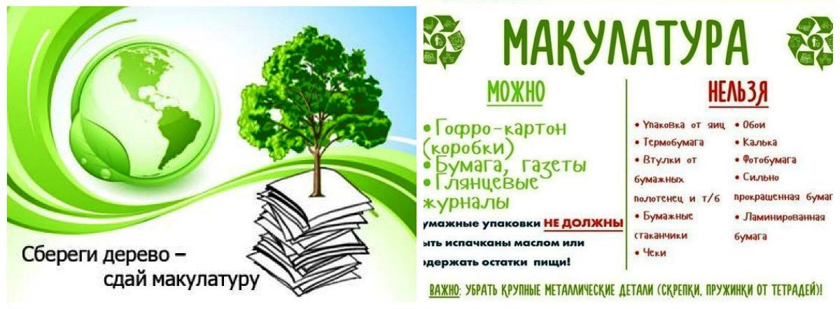 Сдай макулатуру, спаси дерево