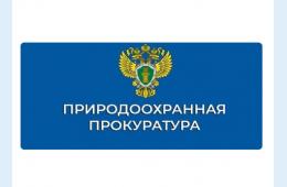 28.10.2025 Владивостокская межрайонная природоохранная прокуратура разъясняет полномочия природоохранных прокуроров в сфере противодействия коррупции | Администрация муниципального округа город Партизанск Приморского края Официальный сайт