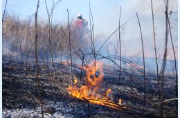 17.06.2024 Более 20 поджигателей сухой травы наказаны в Приморье | Администрация муниципального округа город Партизанск Приморского края Официальный сайт