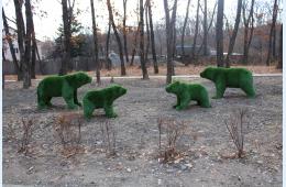 26.12.2023 Общественная организация &quot;Территориальное общественное самоуправление &quot;Южный&quot;, проект &quot;В гармонии с природой&quot; | Администрация муниципального округа город Партизанск Приморского края Официальный сайт