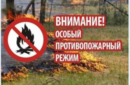 06.04.2023 Нарушителей противопожарного режима накажут | Администрация муниципального округа город Партизанск Приморского края Официальный сайт