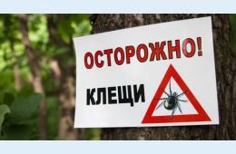 17.04.2023 Роспотребнадзор - о профилактике клещевого энцефалита | Администрация муниципального округа город Партизанск Приморского края Официальный сайт