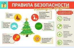 18.12.2023 ЕДДС о правилах пожарной безопасности в новогодние дни | Администрация муниципального округа город Партизанск Приморского края Официальный сайт