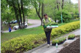 16.05.2024 На памятном знаке «Шахтерская слава» высадили цветы.  | Администрация муниципального округа город Партизанск Приморского края Официальный сайт