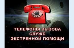 03.01.2024 Телефоны экстренных служб городского округа | Администрация муниципального округа город Партизанск Приморского края Официальный сайт