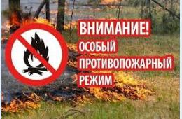 17.04.2023 В условиях особого  противопожарного режима | Администрация муниципального округа город Партизанск Приморского края Официальный сайт