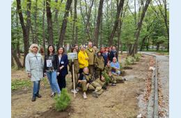 16.05.2023 Аллея Памяти, Надежды и Любви появилась в Лозовом | Администрация муниципального округа город Партизанск Приморского края Официальный сайт
