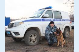 24.12.2021 В Партизанске Приморского края служебная собака помогла полицейским раскрыть кражу | Администрация муниципального округа город Партизанск Приморского края Официальный сайт