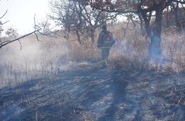 17.04.2024 16 природных пожаров ликвидировали в Приморье | Администрация муниципального округа город Партизанск Приморского края Официальный сайт