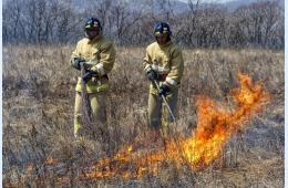 11.03.2024 За неделю – 33 пожара | Администрация муниципального округа город Партизанск Приморского края Официальный сайт