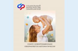 22.09.2023 2023.09.22   Отделение Социального фонда России по Приморскому краю проактивно оформило более 11,5 тысяч СНИЛС новорожденным  | Администрация муниципального округа город Партизанск Приморского края Официальный сайт