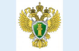 14.12.2022 17 декабря  прокуратура Приморского края проведёт «горячую линию» | Администрация муниципального округа город Партизанск Приморского края Официальный сайт