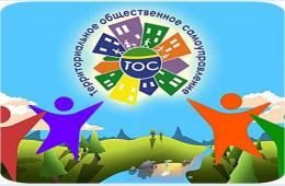 17.11.2023 Инициативное бюджетирование по направлению &quot;Территориальное общественное самоуправление&quot; | Администрация муниципального округа город Партизанск Приморского края Официальный сайт