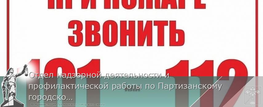Отдел надзорной деятельности и профилактической работы по Партизанскому городскому округу сообщает | Администрация муниципального округа город Партизанск Приморского края Официальный сайт