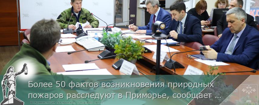 Более 50 фактов возникновения природных пожаров расследуют в Приморье, сообщает www.primorsky.ru | Администрация муниципального округа город Партизанск Приморского края Официальный сайт