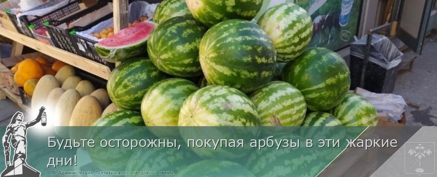Будьте осторожны, покупая арбузы в эти жаркие дни! | Администрация муниципального округа город Партизанск Приморского края Официальный сайт