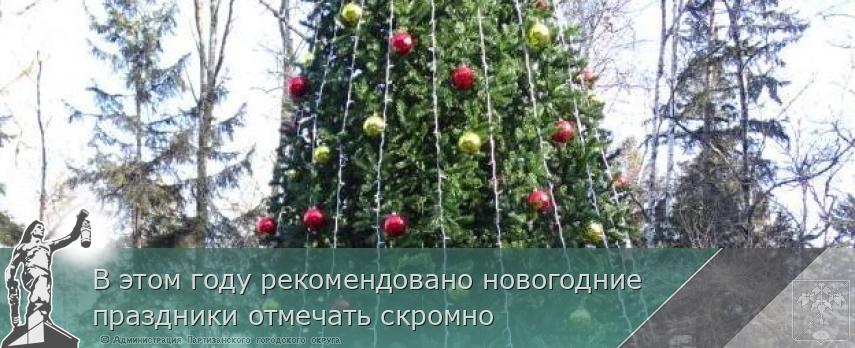 В этом году рекомендовано новогодние праздники отмечать скромно | Администрация муниципального округа город Партизанск Приморского края Официальный сайт