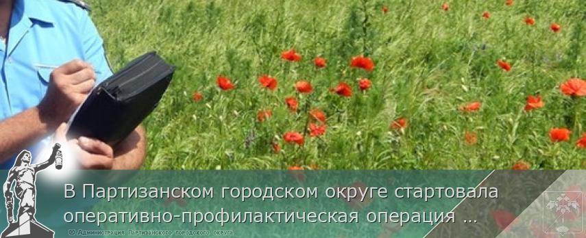 В Партизанском городском округе стартовала оперативно-профилактическая операция «Мак-2021» | Администрация муниципального округа город Партизанск Приморского края Официальный сайт В Партизанском городском округе стартовала оперативно-профилактическая операция «Мак-2021» | Администрация муниципального округа город Партизанск Приморского края Официальный сайт