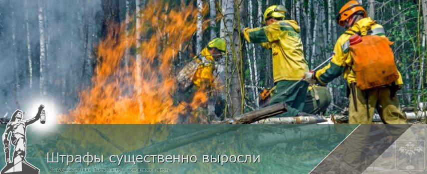 Штрафы существенно выросли  | Администрация муниципального округа город Партизанск Приморского края Официальный сайт