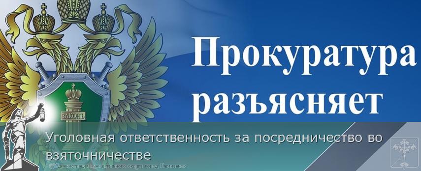 Уголовная ответственность за посредничество во взяточничестве | Администрация муниципального округа город Партизанск Приморского края Официальный сайт