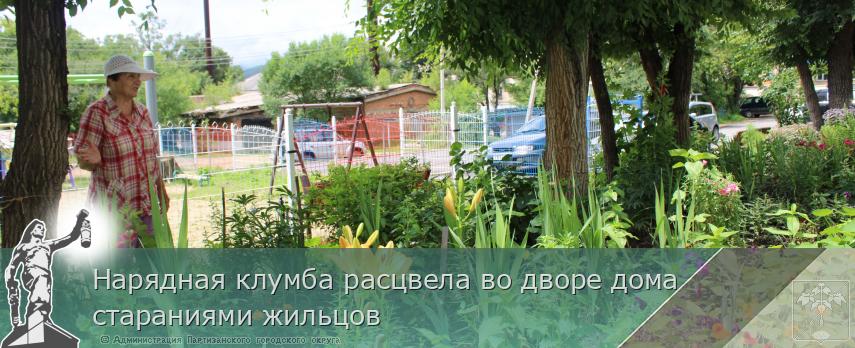 Нарядная клумба расцвела во дворе дома стараниями жильцов | Администрация муниципального округа город Партизанск Приморского края Официальный сайт