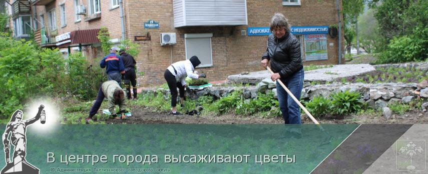 В центре города высаживают цветы | Администрация муниципального округа город Партизанск Приморского края Официальный сайт
