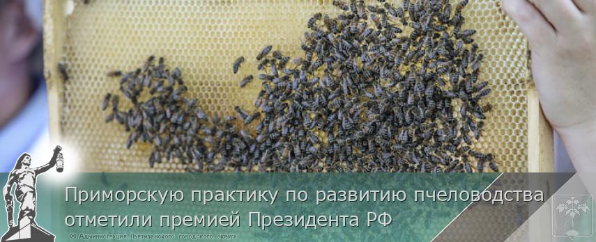 Приморскую практику по развитию пчеловодства отметили премией Президента РФ | Администрация муниципального округа город Партизанск Приморского края Официальный сайт