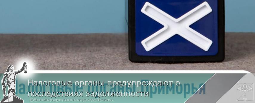Налоговые органы предупреждают о последствиях задолженности | Администрация муниципального округа город Партизанск Приморского края Официальный сайт