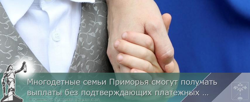 Многодетные семьи Приморья смогут получать выплаты без подтверждающих платежных документов, сообщает www.primorsky.ru | Администрация муниципального округа город Партизанск Приморского края Официальный сайт