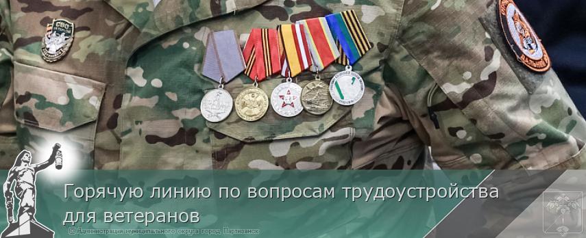 Горячую линию по вопросам трудоустройства для ветеранов  | Администрация муниципального округа город Партизанск Приморского края Официальный сайт