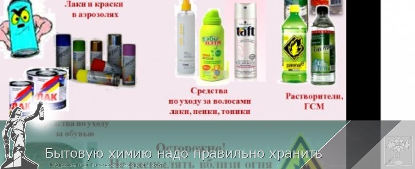 Бытовую химию надо правильно хранить  | Администрация муниципального округа город Партизанск Приморского края Официальный сайт