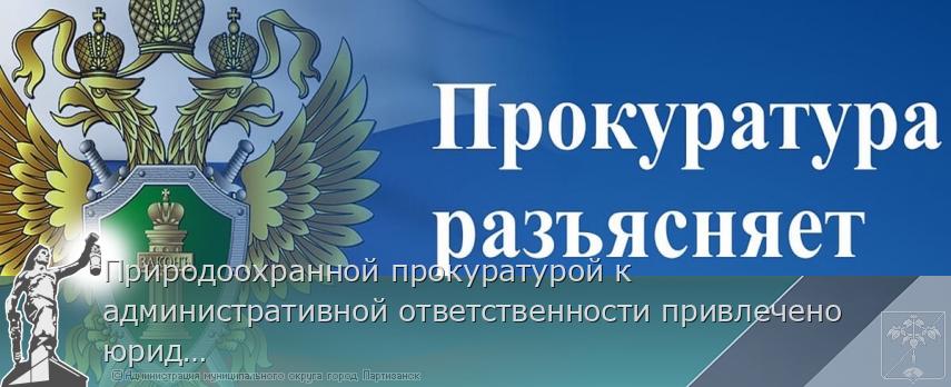 Природоохранной прокуратурой к административной ответственности привлечено  юридическое лицо | Администрация муниципального округа город Партизанск Приморского края Официальный сайт