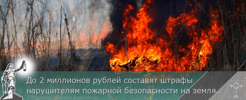 До 2 миллионов рублей составят штрафы нарушителям пожарной безопасности на землях лесного фонда Приморья