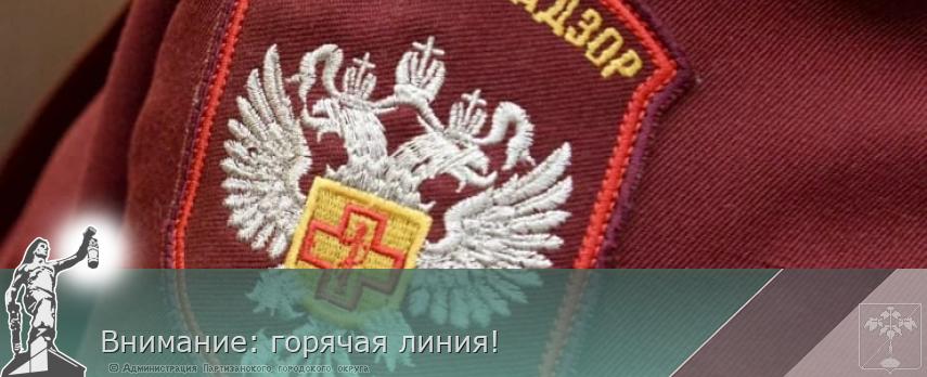 Внимание: горячая линия! | Администрация муниципального округа город Партизанск Приморского края Официальный сайт