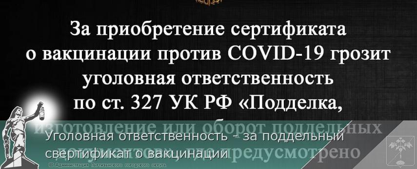 Уголовная ответственность - за поддельный свертификат о вакцинации | Администрация муниципального округа город Партизанск Приморского края Официальный сайт Уголовная ответственность - за поддельный свертификат о вакцинации | Администрация муниципального округа город Партизанск Приморского края Официальный сайт