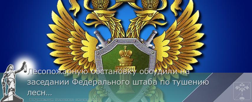 Лесопожарную обстановку обсудили на заседании Федерального штаба по тушению лесных пожаров | Администрация муниципального округа город Партизанск Приморского края Официальный сайт Лесопожарную обстановку обсудили на заседании Федерального штаба по тушению лесных пожаров | Администрация муниципального округа город Партизанск Приморского края Официальный сайт