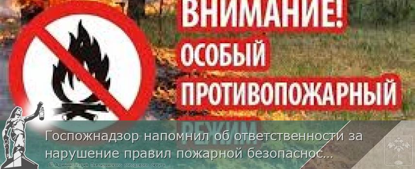 Госпожнадзор напомнил об ответственности за нарушение правил пожарной безопасности  | Администрация муниципального округа город Партизанск Приморского края Официальный сайт